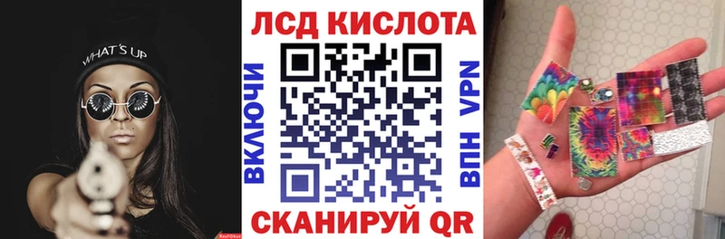 закладка Тара Марки N-bome 1500мкг