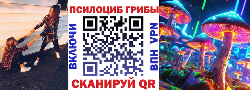 это телеграм  MEGA рабочий сайт  Галлюциногенные грибы прущие грибы  Тара  где найти  